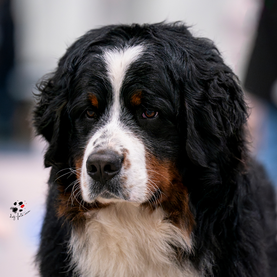 freddy-profil2
